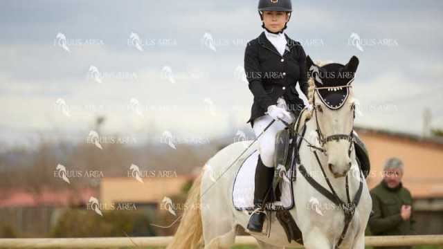 DOMA02032025M-049