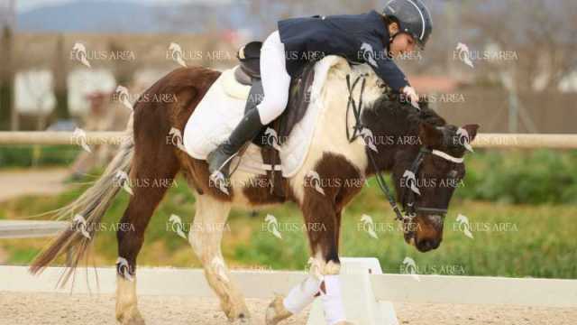 DOMA02032025M-050