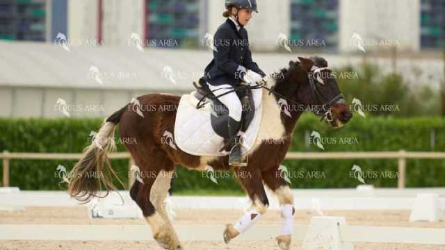 DOMA02032025M-051