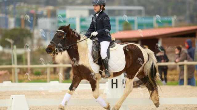 DOMA02032025M-052