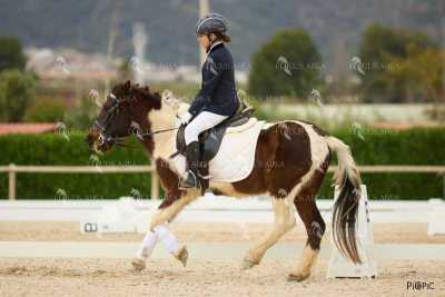 DOMA02032025M-053