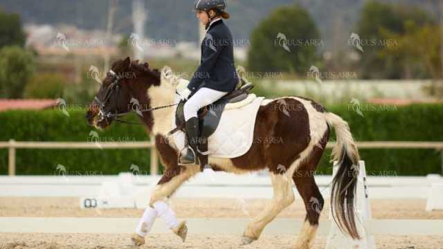 DOMA02032025M-053
