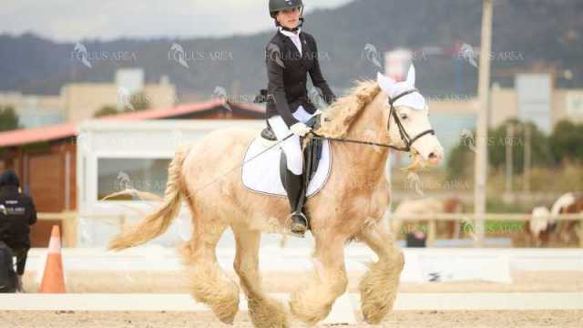 DOMA02032025M-054