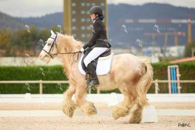 DOMA02032025M-055
