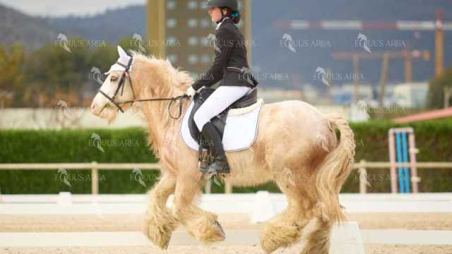 DOMA02032025M-055