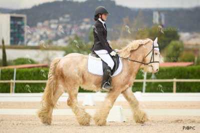 DOMA02032025M-056