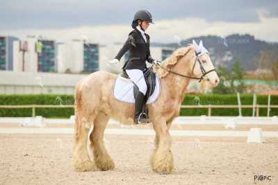 DOMA02032025M-057