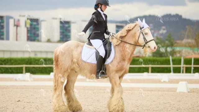 DOMA02032025M-057