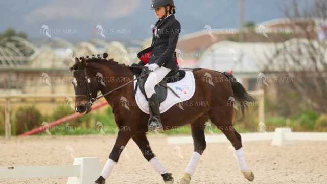 DOMA02032025M-059