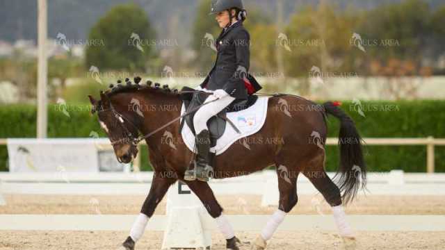 DOMA02032025M-060