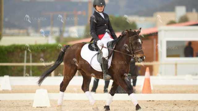DOMA02032025M-061