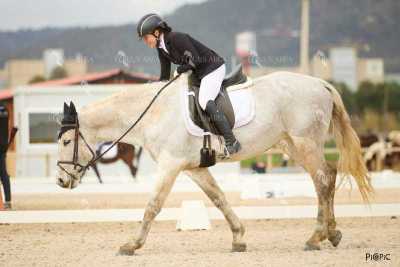 DOMA02032025M-062