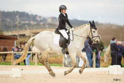DOMA02032025M-063
