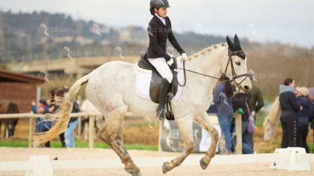 DOMA02032025M-063