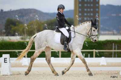 DOMA02032025M-066