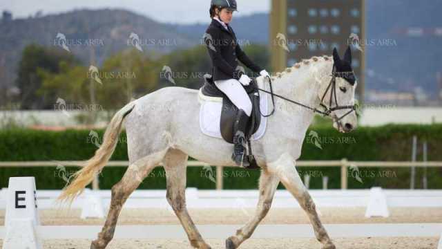 DOMA02032025M-066