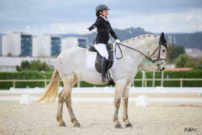 DOMA02032025M-067
