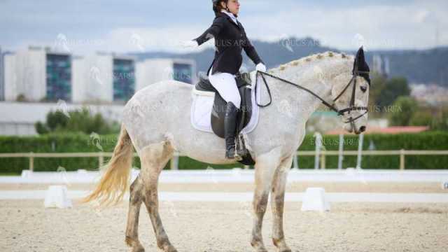 DOMA02032025M-067