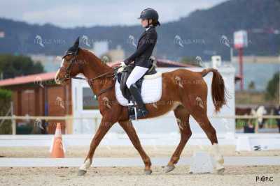 DOMA02032025M-068