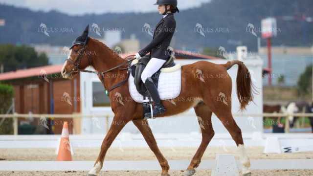 DOMA02032025M-068