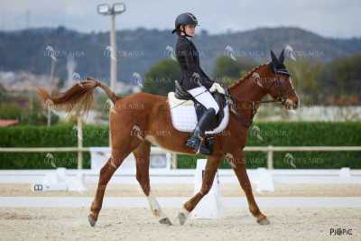 DOMA02032025M-069