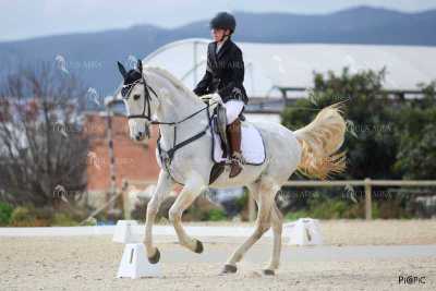 DOMA02032025M-070