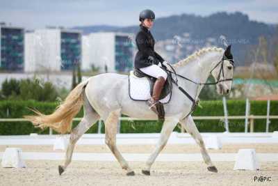 DOMA02032025M-072