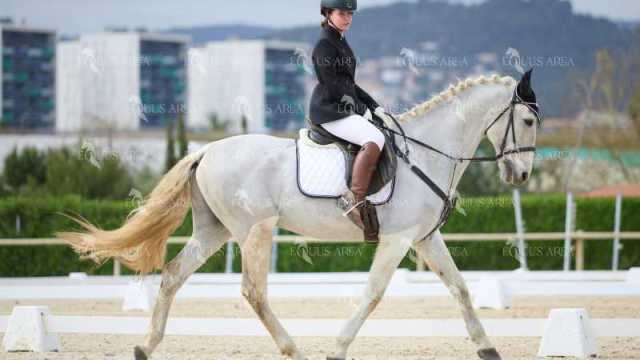 DOMA02032025M-072