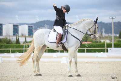 DOMA02032025M-073