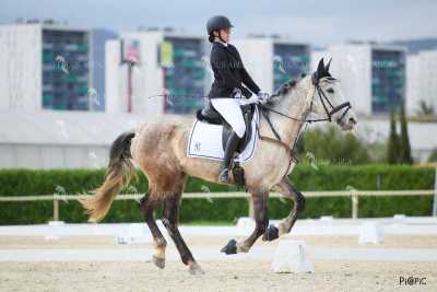 DOMA02032025M-075