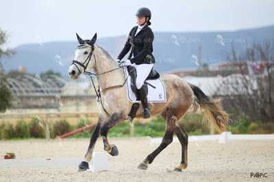 DOMA02032025M-076