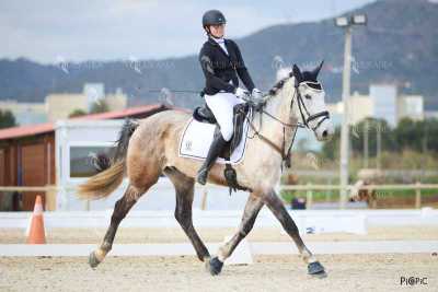 DOMA02032025M-078