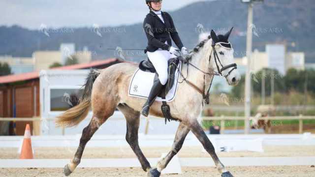 DOMA02032025M-078