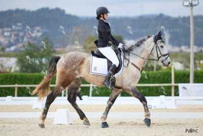 DOMA02032025M-079