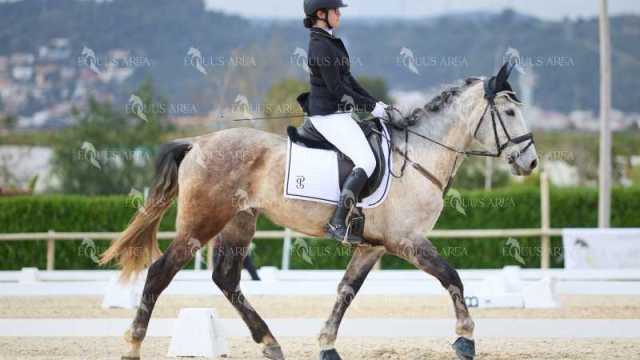 DOMA02032025M-079