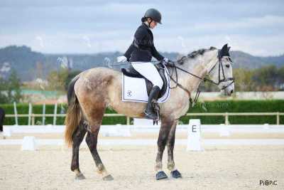 DOMA02032025M-080