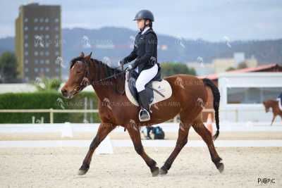 DOMA02032025M-081
