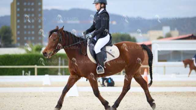 DOMA02032025M-081