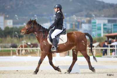 DOMA02032025M-084