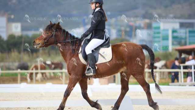 DOMA02032025M-084