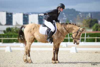 DOMA02032025M-088