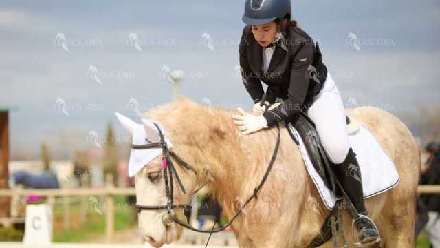 DOMA02032025M-093