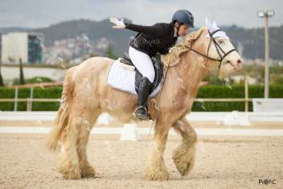 DOMA02032025M-097