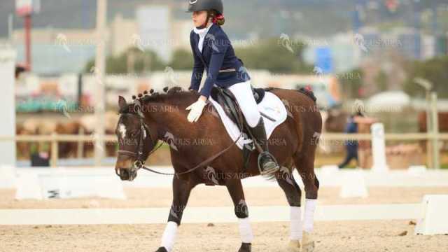 DOMA02032025M-098