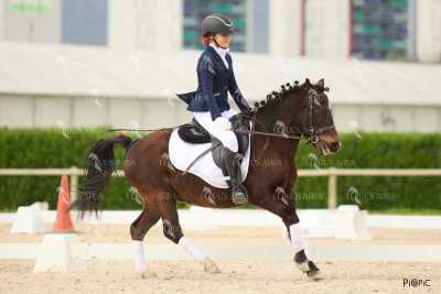DOMA02032025M-099
