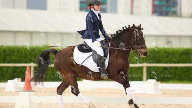 DOMA02032025M-099