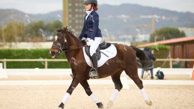 DOMA02032025M-100