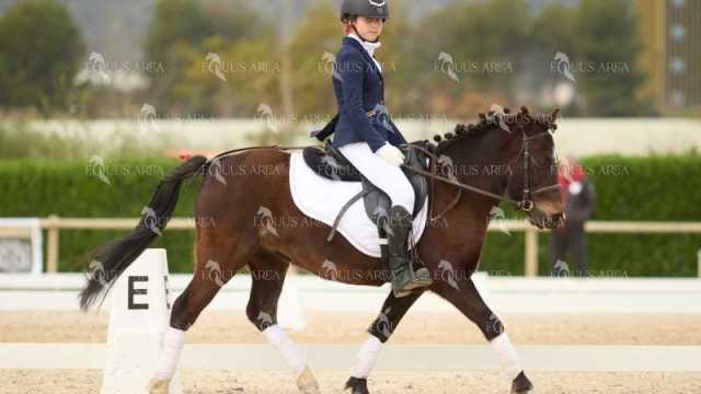 DOMA02032025M-101
