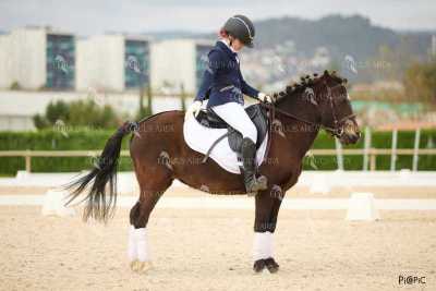 DOMA02032025M-102
