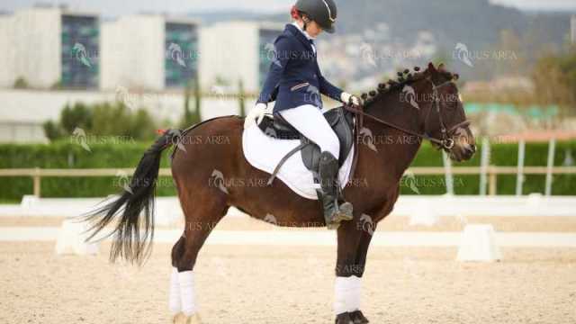 DOMA02032025M-102
